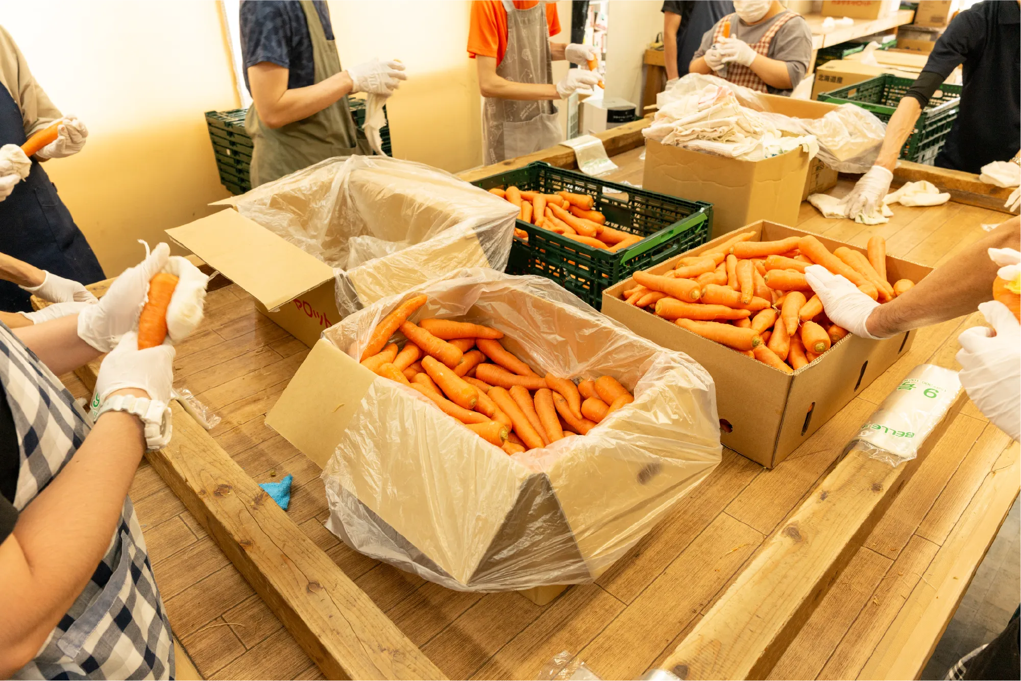 自立支援センターほのぼの